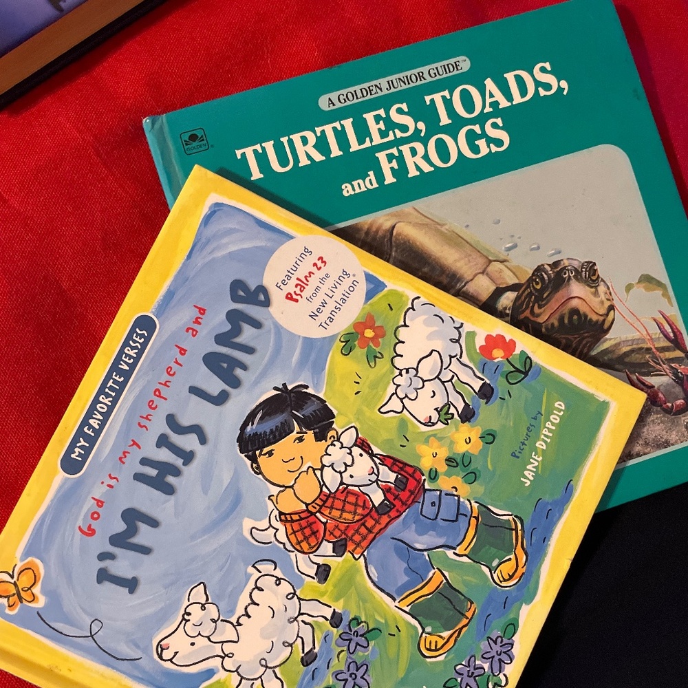 Kids books bundle